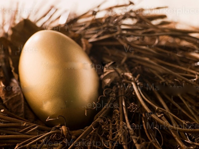 Nest Egg