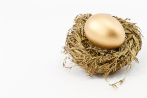 Gold nest egg against white background; horizontal with copy space to left.